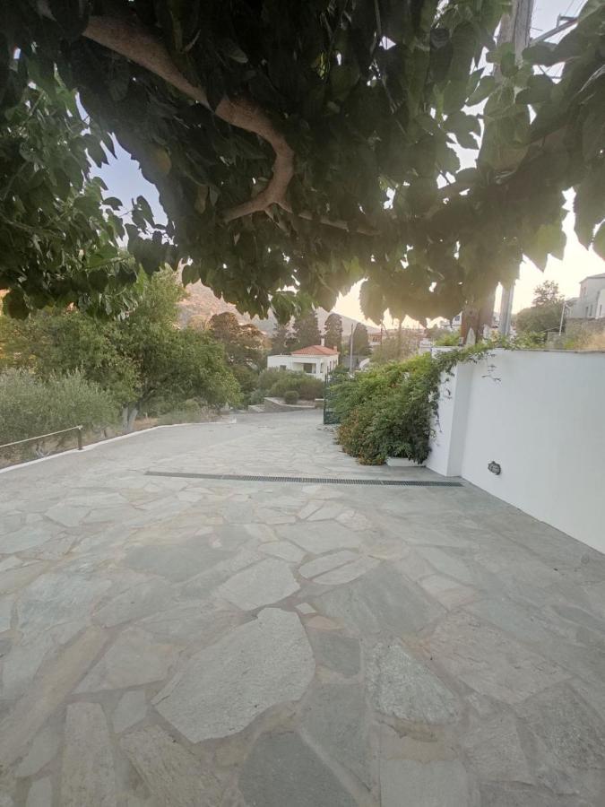 House Moschα Villa Andros Town Exterior photo